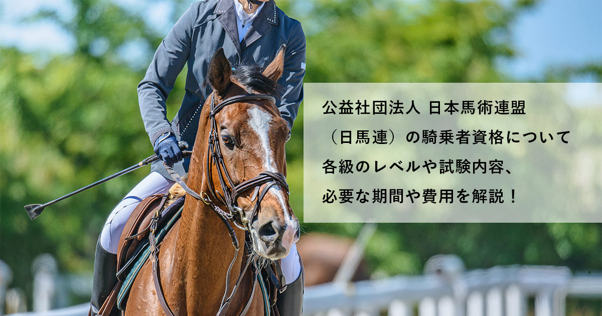 公益社団法人 日本馬術連盟（日馬連）の騎乗者資格についてのイメージ 