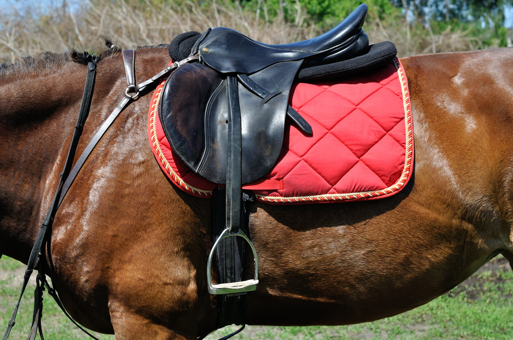 鞍・鐙・頭絡・馬着など、基本の馬具の種類と用途