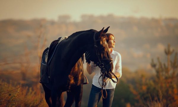 馬と女性のイメージ 