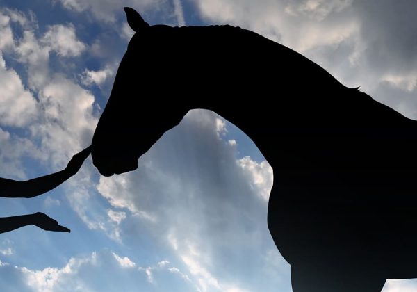 馬の食べ物・餌は何をあげるのが正解？馬が好きなもの、嫌いなもの、注意点 のイメージ