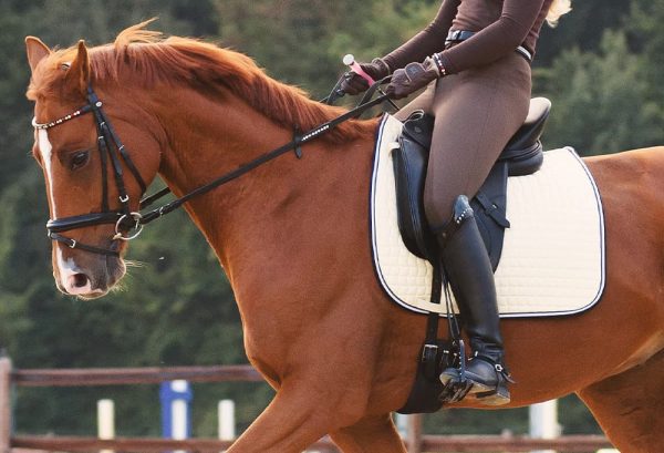 お取り寄せ】 新品 ネオプレーン腹帯 125 乗馬 馬術 総合鞍 障害鞍