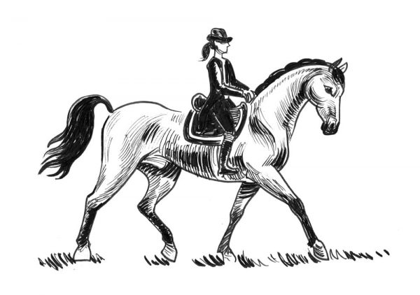 騎乗姿勢のイメージ 