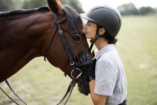 乗馬個人４セット