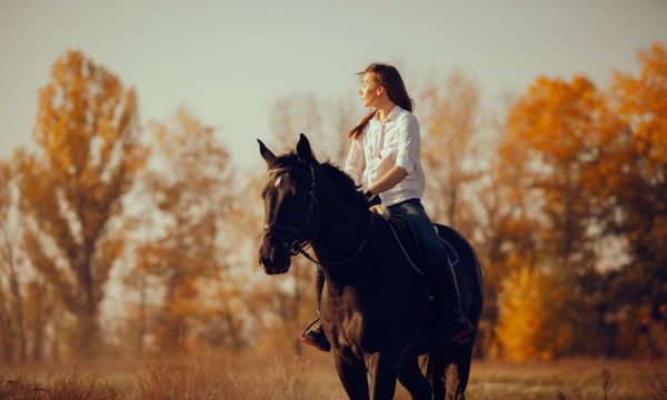 乗馬をする女性のイメージ 
