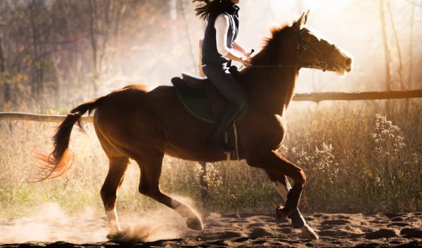 乗馬をする女性のイメージ 