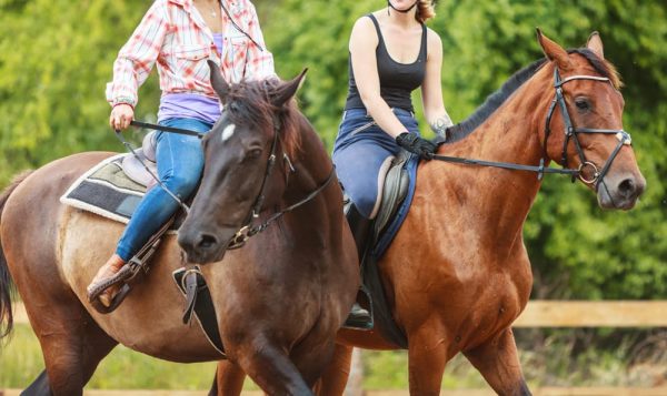乗馬をする2人の女性のイメージ
