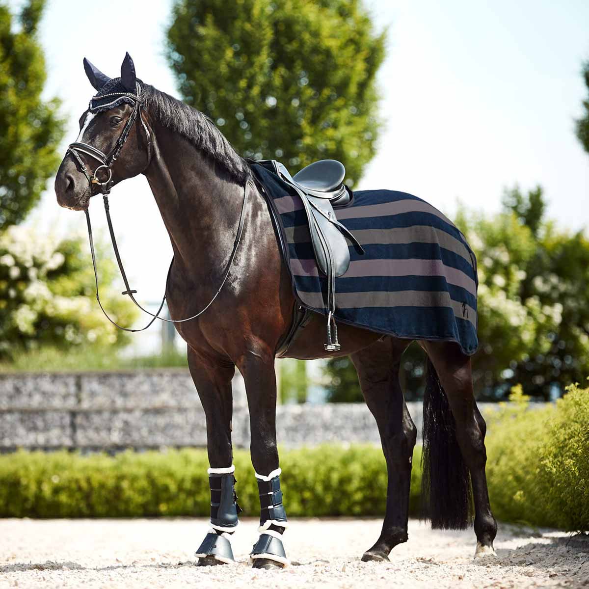 季節の変わり目に揃えたい、愛馬のための秋支度 | JODHPURS (ジョッパーズ) 乗馬用品＆ライフスタイル