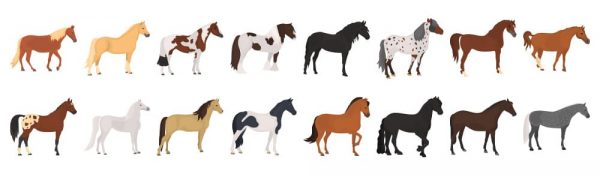 様々な種類の馬のイメージ 