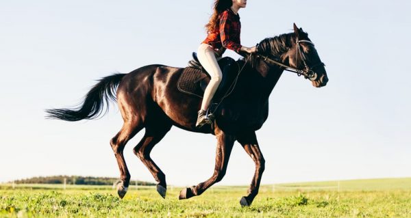 乗馬の適正体重は何キロくらい？馬術競技の理想の体重とはのイメージ 