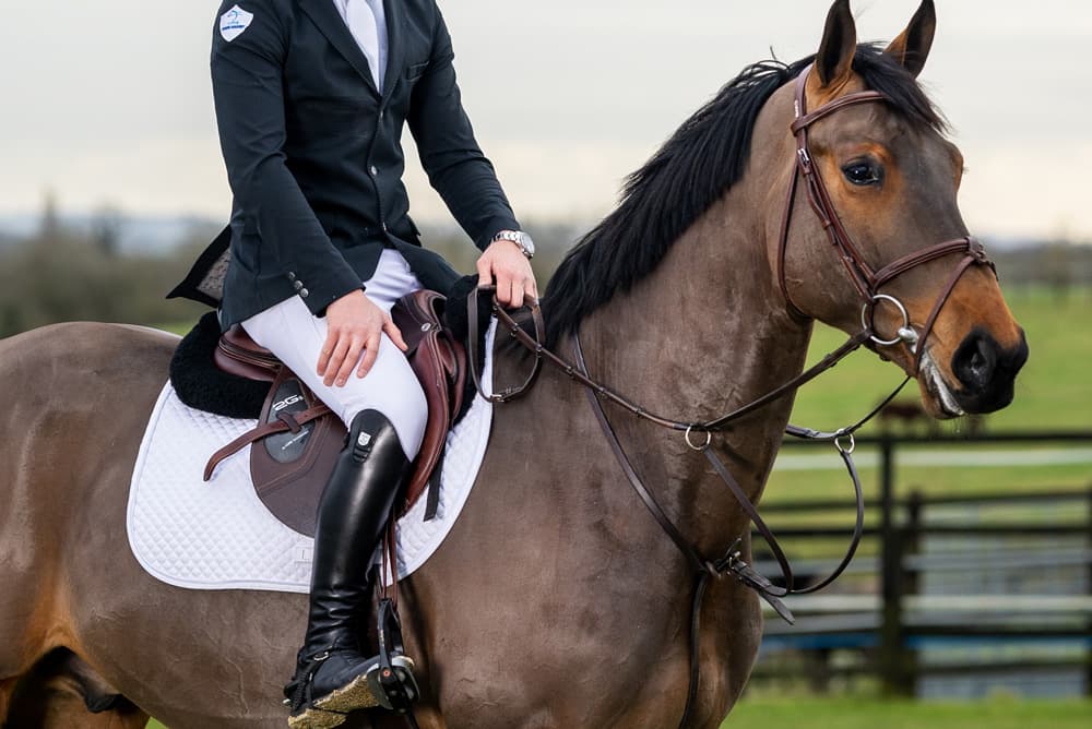 乗馬用の鞍を買う目安は何鞍?鞍を買うメリット・デメリットや選び方のポイント
