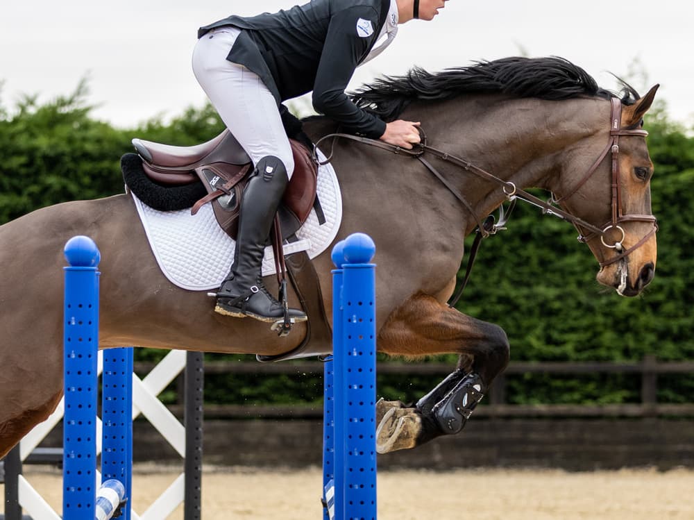 乗馬用の鞍を買う目安は何鞍?鞍を買うメリット・デメリットや選び方のポイント