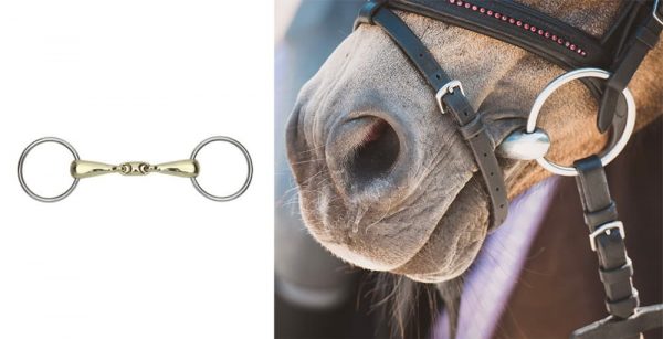 鞍・鐙・頭絡・馬着など、基本の馬具の種類と用途