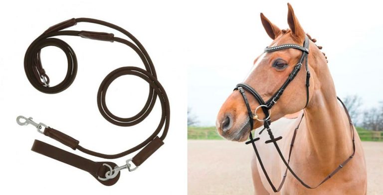 鞍・鐙・頭絡・馬着など、基本の馬具の種類と用途