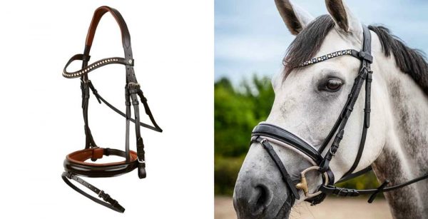 鞍・鐙・頭絡・馬着など、基本の馬具の種類と用途