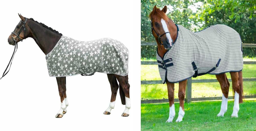鞍・鐙・頭絡・馬着など、基本の馬具の種類と用途