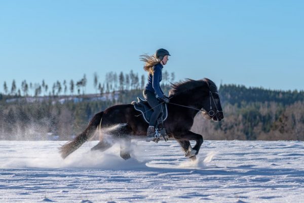 寒いから乗馬を休んでしまうのはもったいない！冬だからこそ楽しめる、乗馬の魅力とは？のイメージ