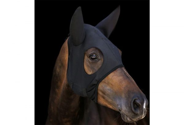 馬のマスク、「メンコ」。種類や機能、メンコを取り入れた馬のおしゃれについて詳しく解説！のイメージ