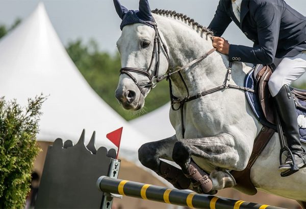 乗馬初心者でも楽しめる！馬術観戦のポイント＆競技会に出場する際の準備のイメージ