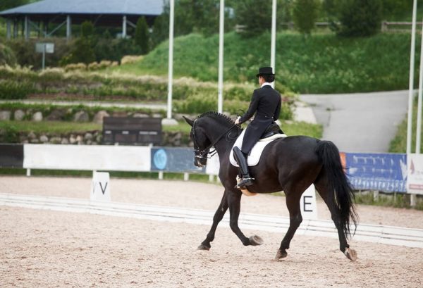 乗馬初心者でも楽しめる！馬術観戦のポイント＆競技会に出場する際の準備のイメージ