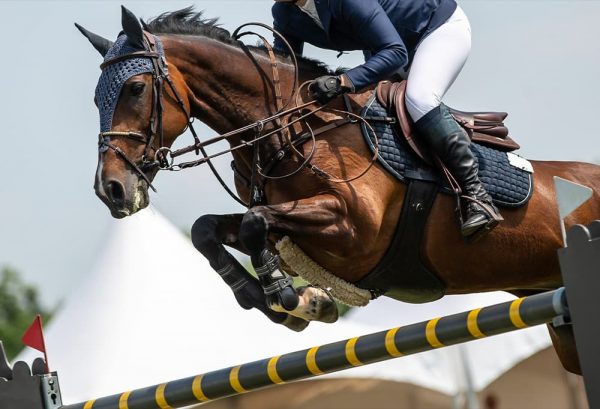 乗馬初心者でも楽しめる！馬術観戦のポイント＆競技会に出場する際の準備のイメージ