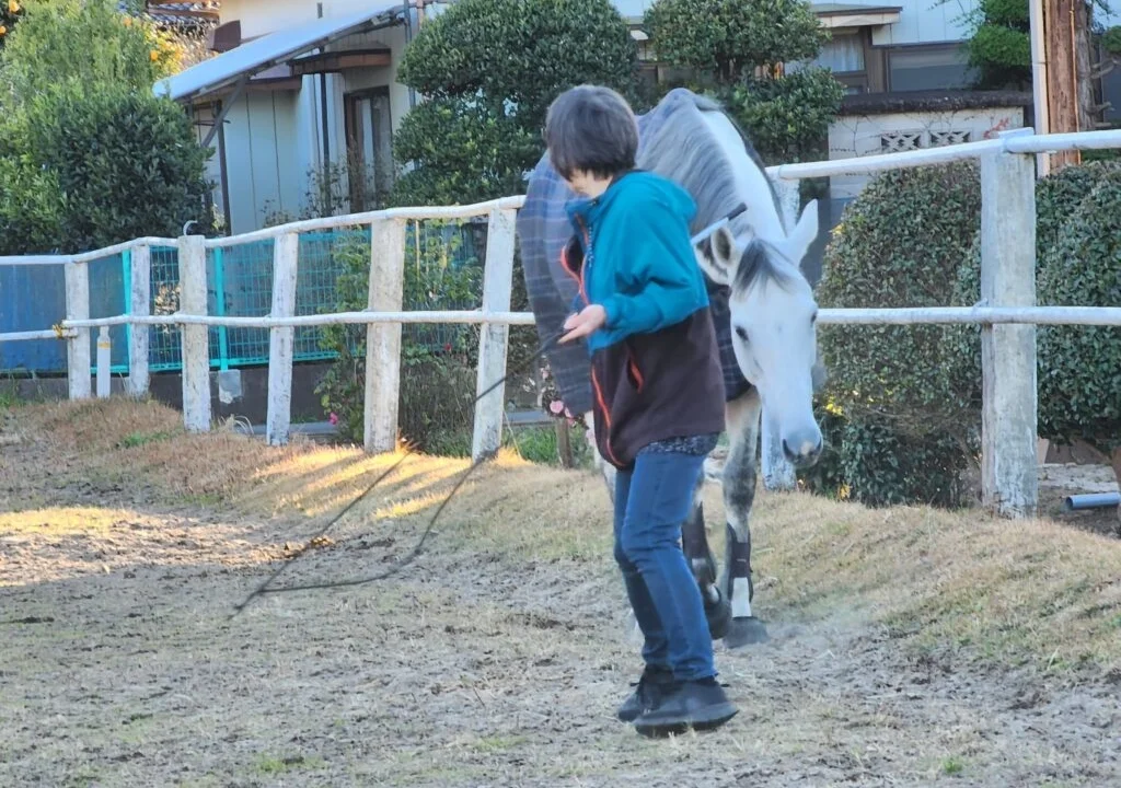 「ホーストレッキングカレッジ南相馬」の特別プログラムが始まります！