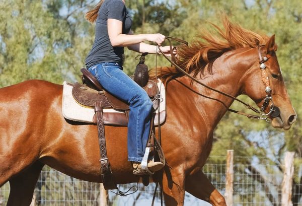 今日から乗馬を始めよう！馬の基本的な乗り方のイメージ