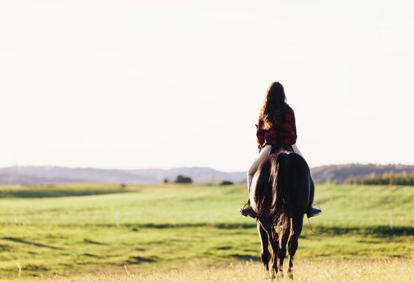 乗馬に最適な季節はいつ？乗馬を快適に楽しもうのイメージ