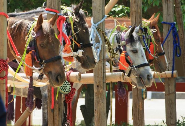 伝統的な馬の駆け比べ！上賀茂神社の葵祭に行ってみませんか？のイメージ