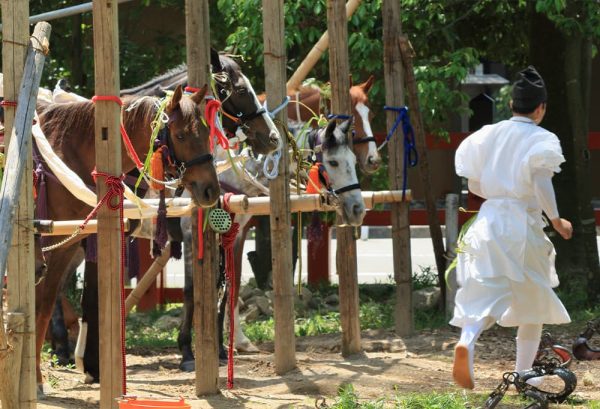 伝統的な馬の駆け比べ！上賀茂神社の葵祭に行ってみませんか？のイメージ