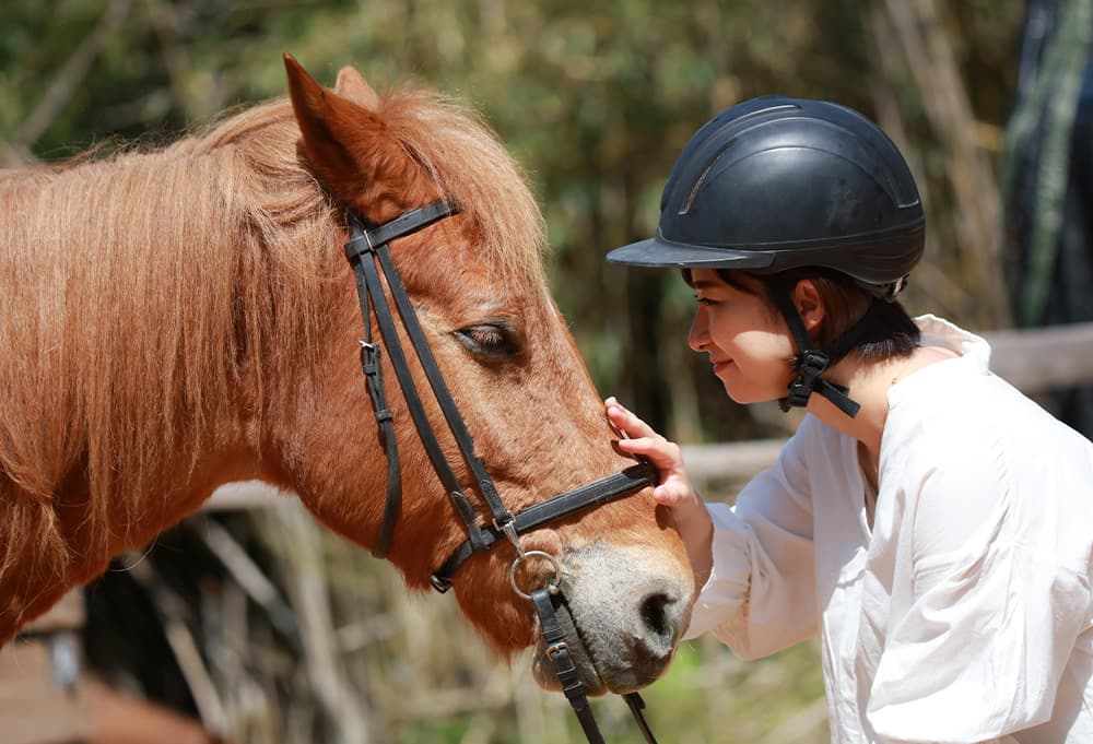 初心者でも気軽に楽しめる！お子様にも人気の「引き馬体験」についてのイメージ