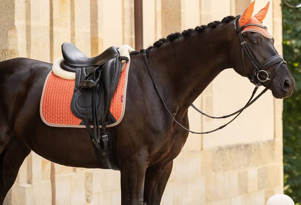 乗馬で使う「ゼッケン」の洗濯方法、お手入れの手順