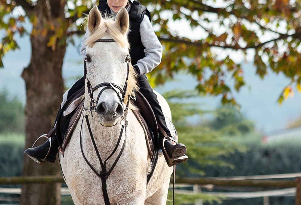 子供が乗馬をする時の服装について、ポイントやキッズウェアの選び方を解説！のイメージ