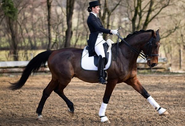 馬場馬術の魅力のひとつ。憧れの燕尾服について詳しく解説のイメージ