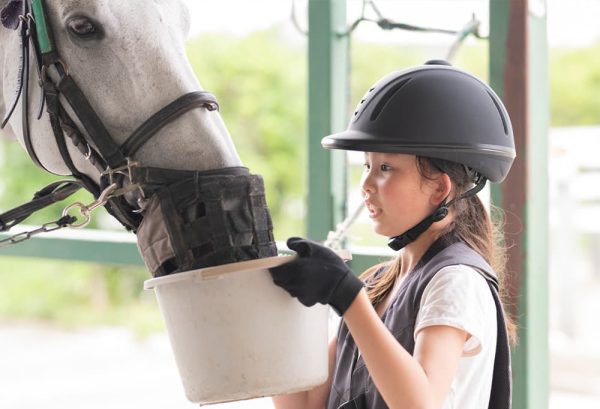 これから乗馬を始める or もっと乗馬が上手くなりたいキッズに！上達のコツやポイントは？のイメージ