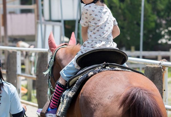 小学生が参加できる乗馬大会をご紹介!のイメージ