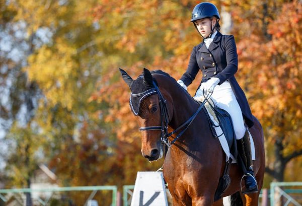 馬場馬術の魅力のひとつ。憧れの燕尾服について詳しく解説のイメージ