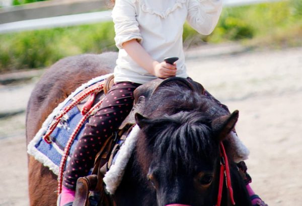 小学生が参加できる乗馬大会をご紹介!のイメージ