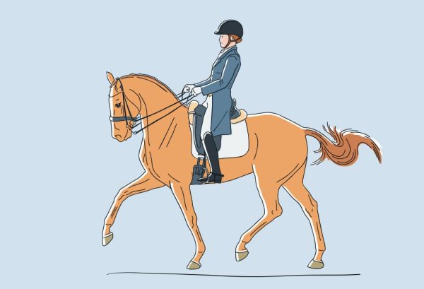 馬場馬術の魅力のひとつ。憧れの燕尾服について詳しく解説のイメージ