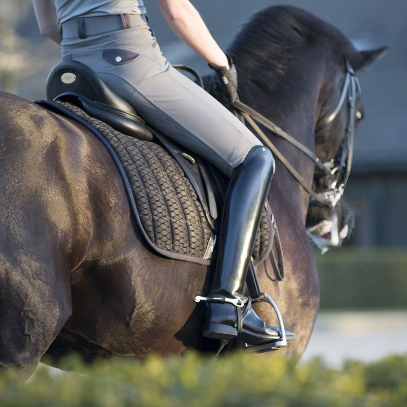 ショッケミューレ ショーシャツ 乗馬-