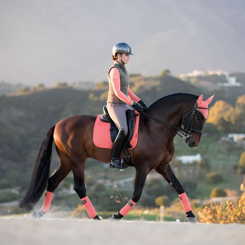 乗馬用品 馬場鞍用サドルカバー ルミュー - その他