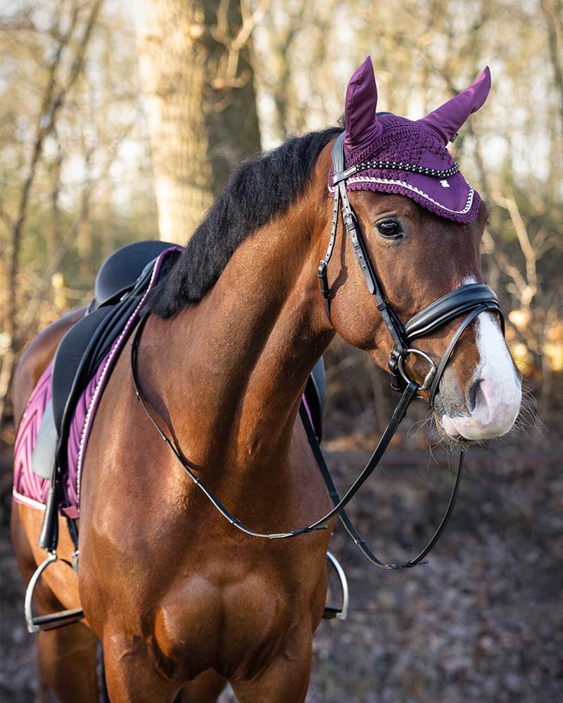 春夏新作 乗馬額革 乗馬用品 馬術 ブロウバンド 乗馬 額革 頭絡 鞍