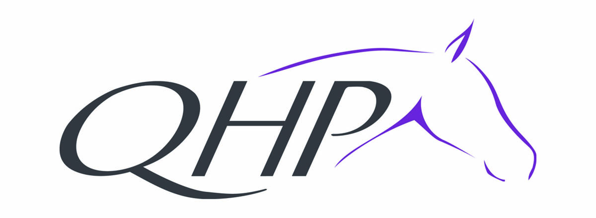 QHP(キューエイチピー)ロゴ